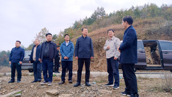 陜西科技控股集團有限責任公司黨委副書記、總經理周吉峰一行赴紫陽縣蒿坪鎮調研鄉村振興示范鎮建設工作并看望慰問掛職干部